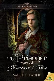 The Prisoner of Silverwood Castle The Prisoner of Silverwood Castle