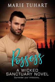 Possess a Wicked Sanctuary Novel