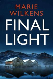 Final Light: EMP Survival in a Powerless World