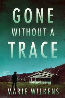 Gone without a Trace: A Small Town Riveting Kidnapping Mystery Thriller