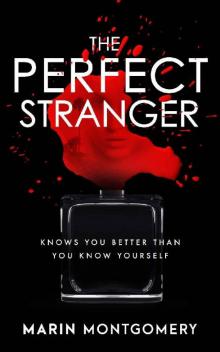 The Perfect Stranger The Perfect Stranger