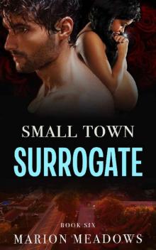 Small Town Surrogate (Sins of the South Book 6)