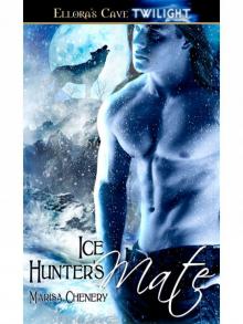 IceHuntersMate IceHuntersMate