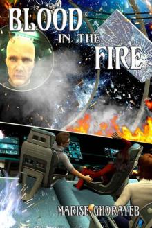 Blood in the Fire (Timelaws Trilogy)