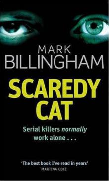 Scaredy cat tt-2