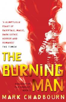 The Burning Man kots-2