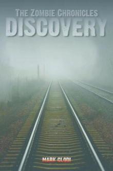 Discovery tzc-2 Discovery tzc-2