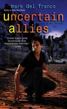 Uncertain Allies cg-5