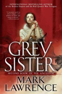 Grey Sister Grey Sister