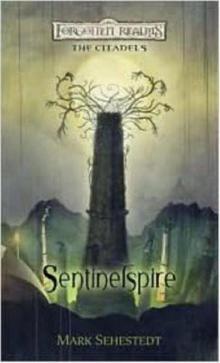 Sentinelspire c-4