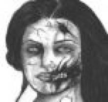 Zombie Fallout 3: The End