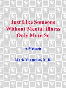 Just Like Someone Without Mental Illness Only More So