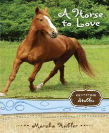 A Horse to Love A Horse to Love