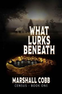 CENSUS_What Lurks Beneath
