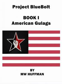 PROJECT BlueBolt - AMERICAN GULAGS: BOOK I - AMERICAN GULAGS