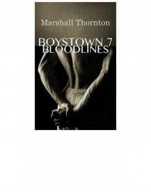 Boystown 7: Bloodlines