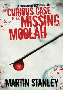 The Curious Case of the Missing Moolah (A Stanton Brothers thriller)