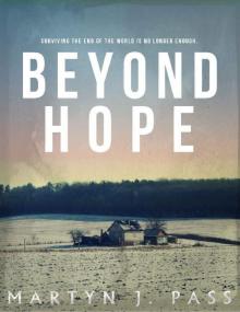 Beyond Hope (Tales from the Brink Book 3)