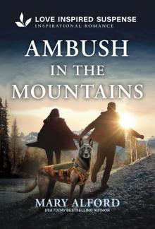 Ambush in the Mountains