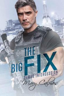 The Big Fix: Torus Intercession Book Five