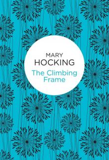 THE CLIMBING FRAME