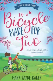 A Bicycle Made For Two: Badly behaved, bawdy romance in the Yorkshire Dales (Love in the Dales Book 1)
