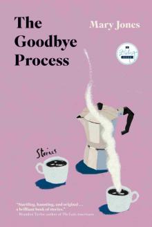 The Goodbye Process