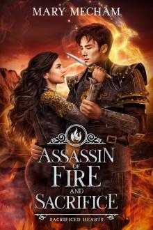 Assassin of Fire and Sacrifice
