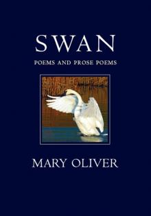 The Swan The Swan