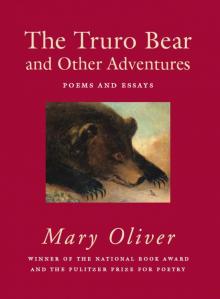 The Truro Bear and Other Adventures The Truro Bear and Other Adventures