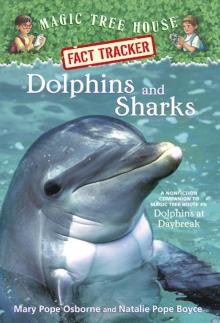 Dolphins and Sharks