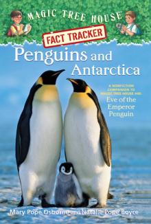 Penguins and Antarctica Penguins and Antarctica