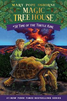 Time of the Turtle King Time of the Turtle King