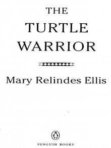The Turtle Warrior