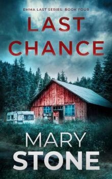 Last Chance (Emma Last FBI Mystery Series Book 4)