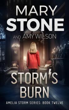 Storm's Burn (Amelia Storm FBI Mystery Series Book 12)