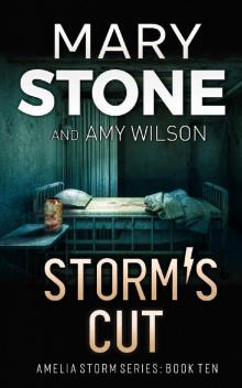 Storm's Cut (Amelia Storm FBI Mystery Series Book 10)