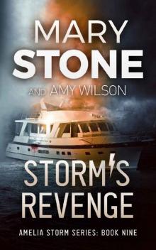 Storm's Revenge (Amelia Storm FBI Mystery Series Book 9)
