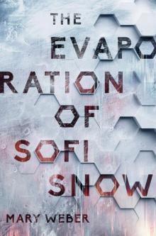 The Evaporation of Sofi Snow The Evaporation of Sofi Snow