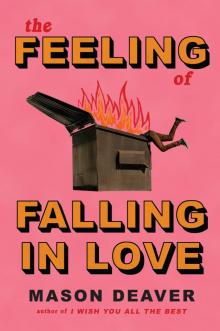 The Feeling of Falling in Love The Feeling of Falling in Love