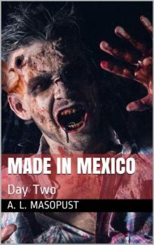 Made In Mexico | Book 2 | Day 2