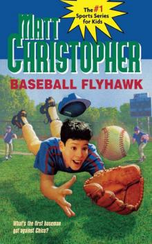 Baseball Flyhawk Baseball Flyhawk