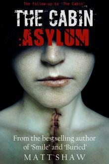 The Cabin II: Asylum