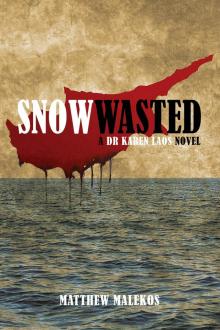 Snow Wasted