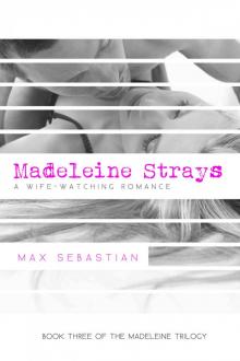 Madeleine Strays: A Wife-Watching Romance
