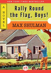 Rally Round the Flag, Boys!