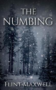 Whiteout (Book 3): The Numbing Whiteout (Book 3): The Numbing