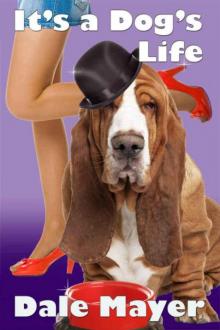 It's a Dog's Life (a romantic comedy with a canine sidekick)