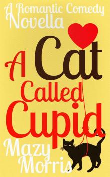 A Cat Called Cupid: A Romantic Comedy Novella