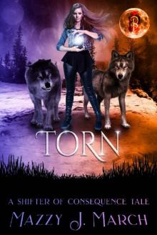 Torn: A Shifter of Consequence Tale (Shifters of Consequence Book 5)